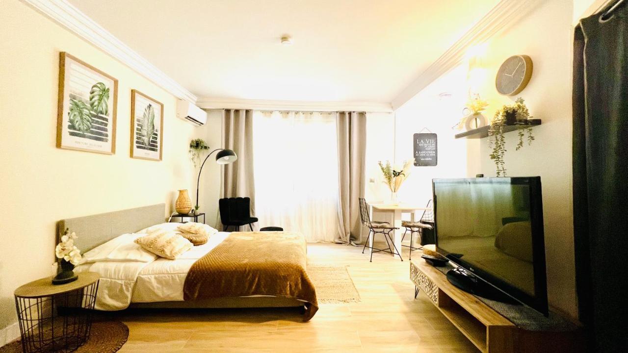Le Miramar Nice - Clim, Parking, Wifi Et Piscine Esterno foto